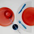Sustainable Creativity in Plastic Dining Ware.